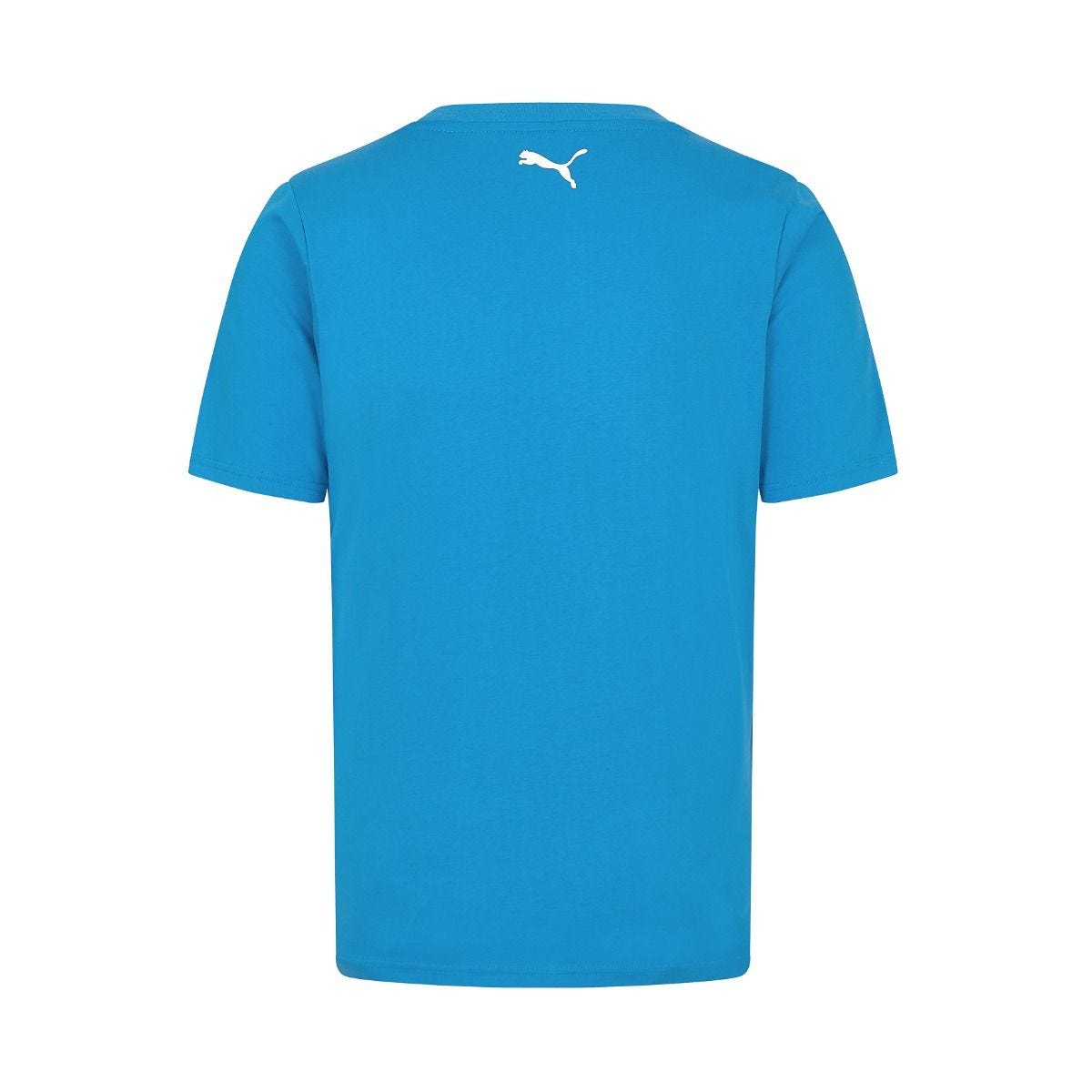 Mens Logo T-Shirt Blue